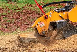 How Our Tree Care Process Works  in  Biola, CA